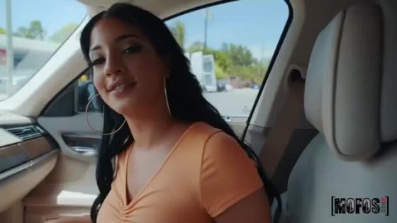 Sexy teen girl flashing tits inside the car (gif)